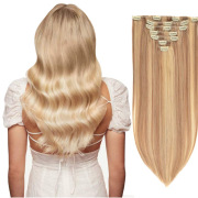 clip human hair