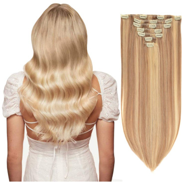 clip human hair